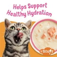 thumbnail image 4 of Purina Friskies Grain Free Lickable Cat Food Toppers Lil’ Soups With Sockeye Salmon in Chicken Broth, 1.2 oz Cups, 4 of 10