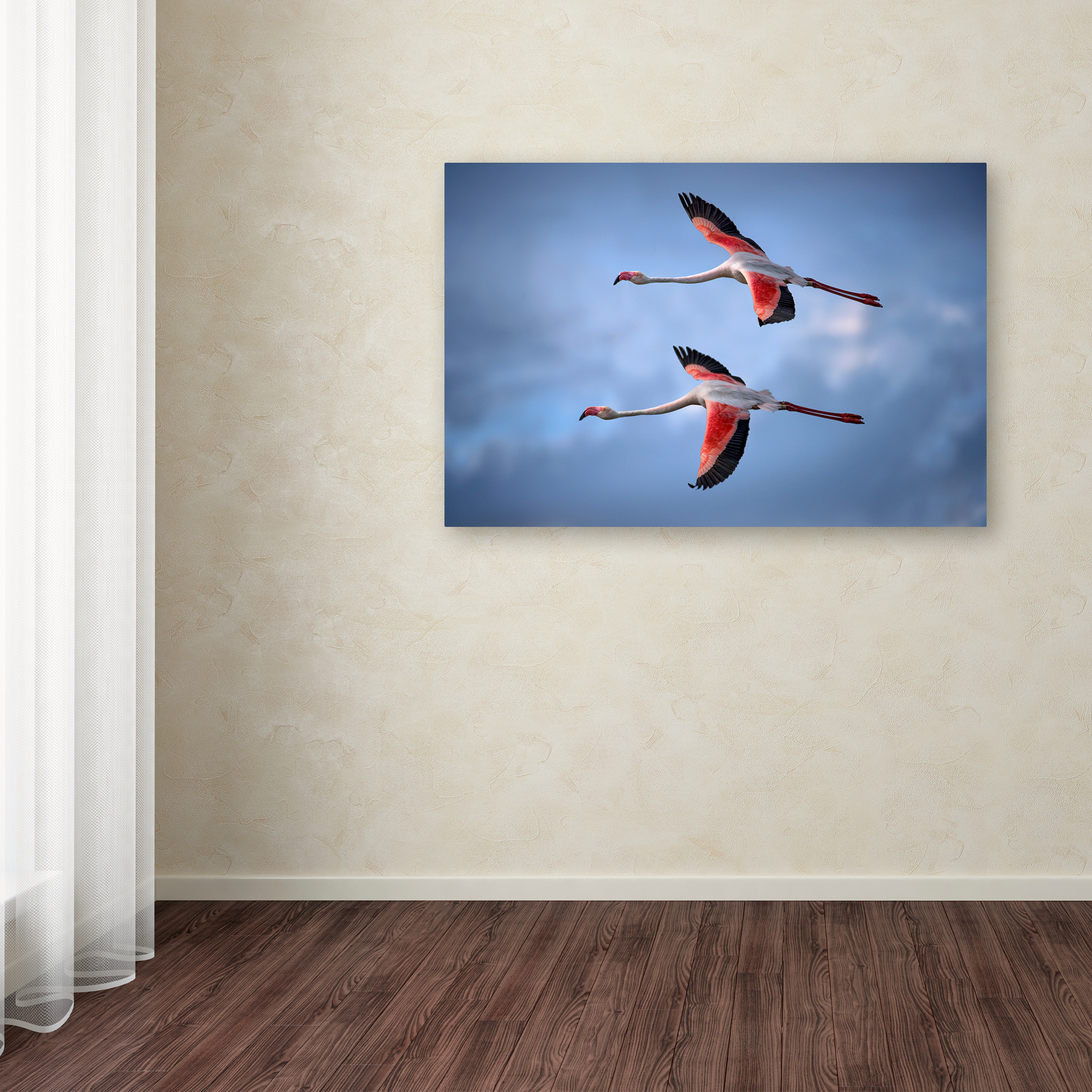 Trademark Fine Art 'Greater Flamingos' Canvas Art by Xavier Ortega
