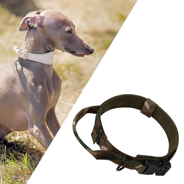 Collar de perro con camuflaje suave para , medianos, grandes perros de entrenamiento mascotas - Collar de perro, SG Colco Collar de cachorro