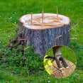 thumbnail image 3 of Copper Nails Kill Trees Nail Tree Stumps Remove Nails 15PCs, 3 of 8
