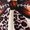 1-Brown1531, variant on WOYY Big Girls 2 Piece Short Sleeve Bow T-Shirt Leopard Pants Outfits, Sizes 8-9