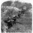 thumbnail image 2 of Spanish-American War 1898. Namerican Soldiers Shooting Rifles In A Trench In The Battle Of San Juan Hill Cuba During, 2 of 4
