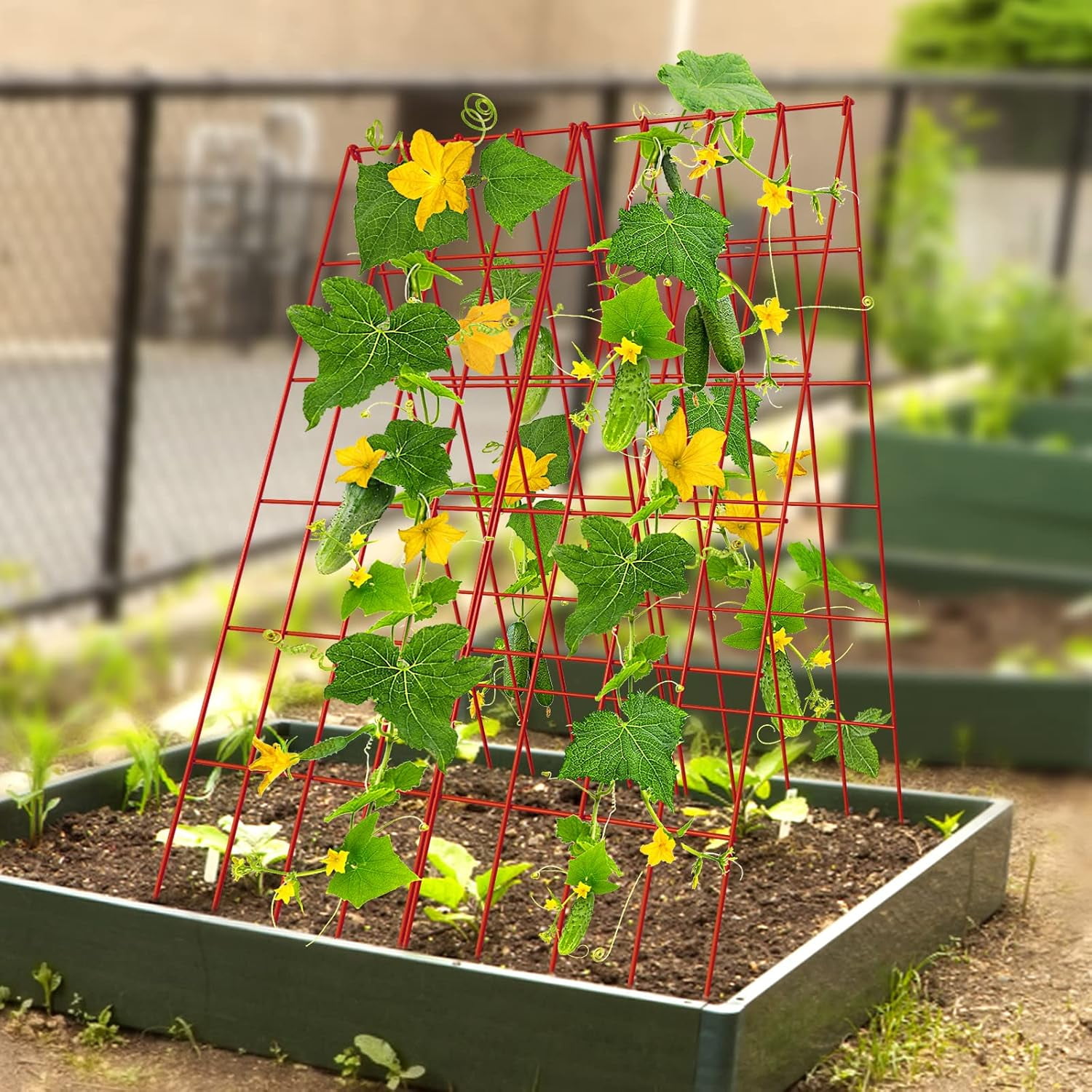 Cucumber Trellis, 2 Pack Foldable A Frame Trellis for Raised Bed Climbing Plants, Vegetables, Includes Plant Support Clips, Twist Ties, Plastic Ties- Made from PVC-Coated Steel