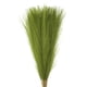 thumbnail image 1 of Uxcell 12Pcs Hierba Pampas Falsa 21" Pampas Falsas para Decoración de Bodas Verde Hierba, 1 of 7