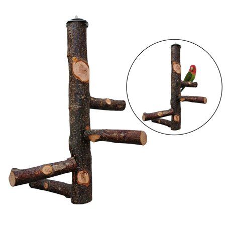 Natural Perch, Paw Grinding Stick Parrot Stand Perches Parrot Swing Chewing, Bird Toys Suitable for Parakeets, Finches, Budgie