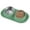 Green, variant on Ptlom Elevated Stainless Steel Pet Food Bowl with Stands, Raised Dog Cat Feeding Bowls Set Suitable for Cats and Small Dogs, Green