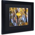 thumbnail image 2 of Trademark Fine Art "Floater" Canvas Art by Michael Blanchette Photography Black Matte, Black Frame, 2 of 4