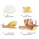 thumbnail image 5 of de crecimiento de caracol de animales de de plástico Modelo Biología Juguete Enseñanza Ayudas, 5 of 7