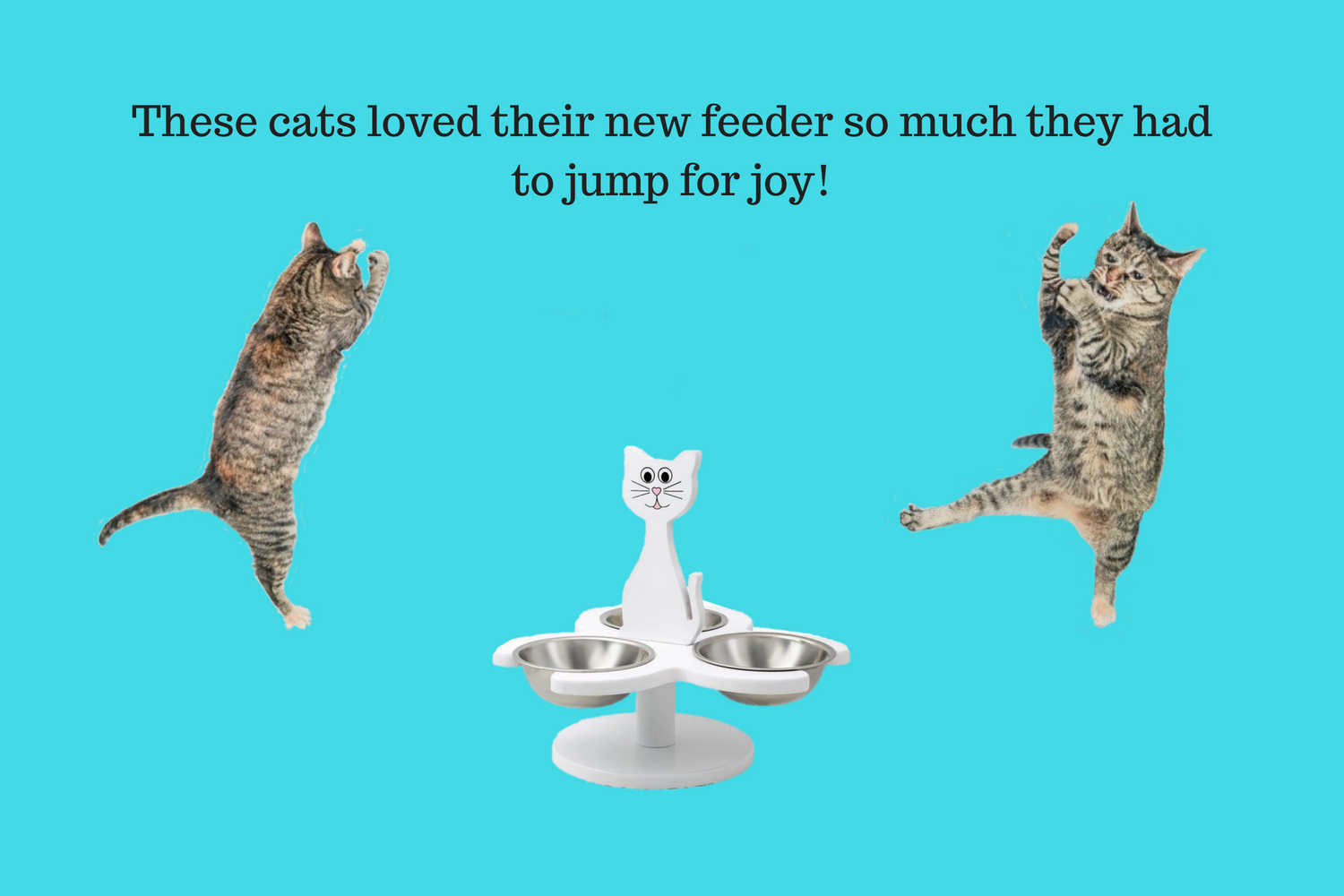 etna wooden multi cat feeder