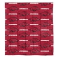 thumbnail image 4 of NCAA Arkansas Razorbacks Bed in a Bag Set, 1 Each, 4 of 5