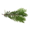 thumbnail image 4 of Oneka Cedar and Sage Conditioner, Cedar, 1 Liter, 4 of 6