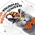 thumbnail image 3 of 3dRose, Cute Gray Chartreux Cat in a Wizard Hat for Halloween, 13x13 Wall Clock, 3 of 8