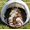 🔥 D_Hot#6, variant on Plush Cat Envelope Sleeping Bag – Adult Soft Sleeping Bag for Camping, Sleepovers & Home Lounging, Washable Warm Blanket 69x31 IN,D