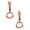Orange, variant on 2 in 1 Car Assist Handle Kit Adjustable Overhead and Backseat Grab Bar with Soft Rubber Grip for Added Support Entering Exiting Vehicle （Orange 2PCS）
