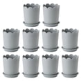 thumbnail image 1 of 10 Sets Plastic Flowerpots Small Rose Planter Succulent Plant Nursery Pots, 1 of 8