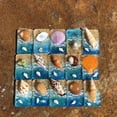 thumbnail image 2 of Pegatinas para refrigerador con conchas naturales, manualidades para el hogar, decoraciones, estilo, turismo, vacaciones, regalos creativos, recuerdos. Un colgante., 2 of 9