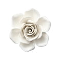 thumbnail image 1 of Fondo de pared de flores de cerámica 3D, escultura artística, decoración de arte de cerámica para oficina S Rosa 10cm, 1 of 7