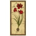 thumbnail image 2 of Vision Studio 9x14 White Modern Wood Framed Museum Art Print Titled - Amaryllis Panel I, 2 of 4