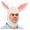White, variant on Halco Adult Bunny Hood, White