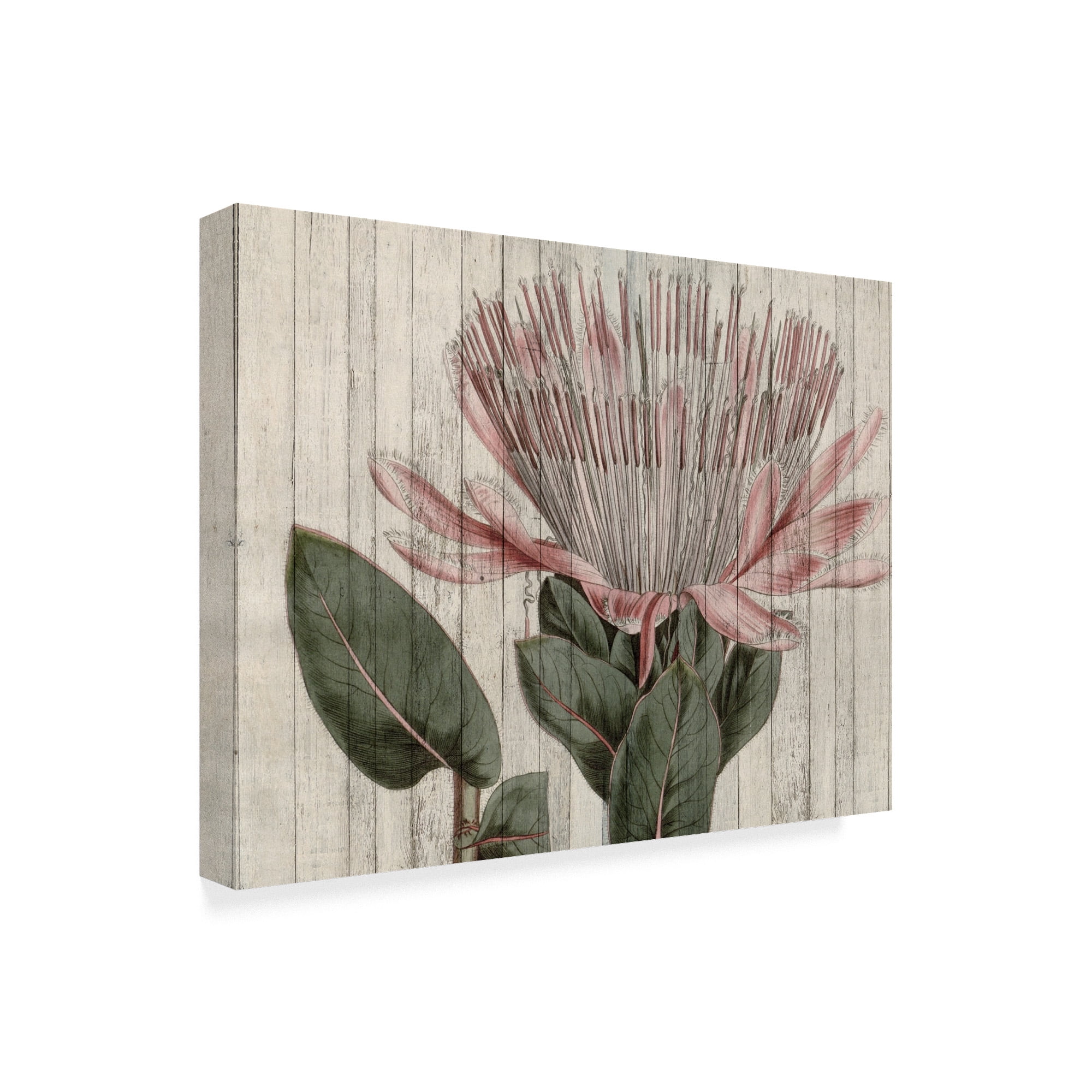 Trademark Fine Art 'Rustic Floral IV' Canvas Art by Studio W