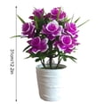 thumbnail image 2 of Bonsai de simulación de decoración del hogar de flores artificiales de plástico maceta falsa Eigraketly HA8764-00B, 2 of 6