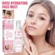thumbnail image 1 of Bruma Facial Hidratante de Rosa 100 ml Xihbxyly, 1 of 7