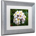 thumbnail image 2 of Trademark Fine Art 'Plumeria' Canvas Art by Pierre Leclerc, White Matte, Silver Frame, 2 of 4