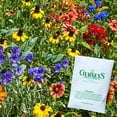 thumbnail image 2 of Gurney's Native Wildflower Mixture 300 Plant Seeds, 2 of 2