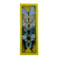 thumbnail image 3 of Regency International Fabric Butterfly Blue Set of 6 Assorted - N/A, 3 of 5