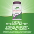 thumbnail image 5 of Nature’s Way Chlorofresh Chlorophyll Concentrate Softgels, Internal Deodorant*, 90 Count, 5 of 8