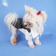 thumbnail image 4 of CBFFDC Vêtements pour Animaux Jupe pour Animaux Design Nœud Motif Rayé Col Rabattu Lavable en Machine Polyester Décoratif pour Chien d'Été, 4 of 7