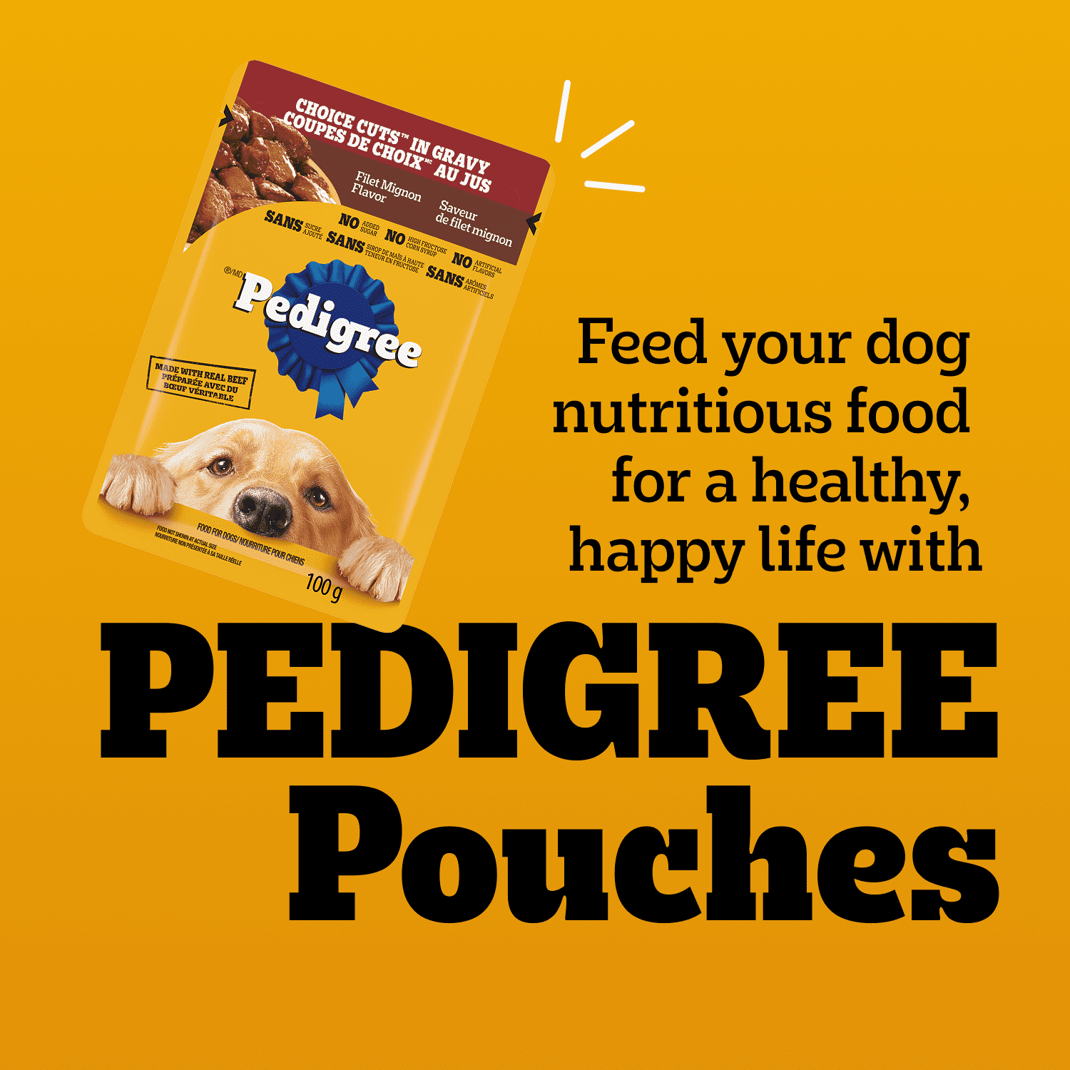 Pedigree Adult Wet Dog Food Choice Cuts in Gravy Filet Mignon and Grilled Chicken Flavour Pouch Variety 800g