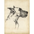 thumbnail image 2 of Harper, Ethan 15x18 Gold Ornate Wood Framed with Double Matting Museum Art Print Titled - Breed Studies IV, 2 of 4