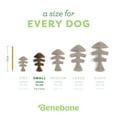 thumbnail image 4 of Benebone Fishbone Durable Dog Chew Toy for Aggressive Chewers, Real Fish, Small, 4 of 6
