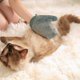 thumbnail image 4 of Cat & Dog Gentle Grooming Gloves 1 Pair, Pet Bathing Massage Hair Remover Shedding Brush Mitts, for Cat Dog Horse Rabbit Fur Animal, One Size Fits All, 4 of 5