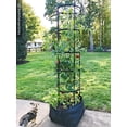 thumbnail image 4 of Titan Tomato Self-Watering Grow Bag & Trellis, 4 of 8