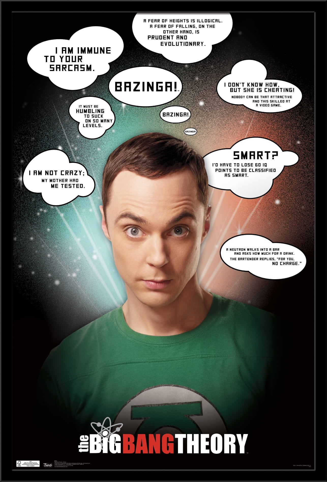 The Big Bang Theory - Quotes Wall Poster, 22.375