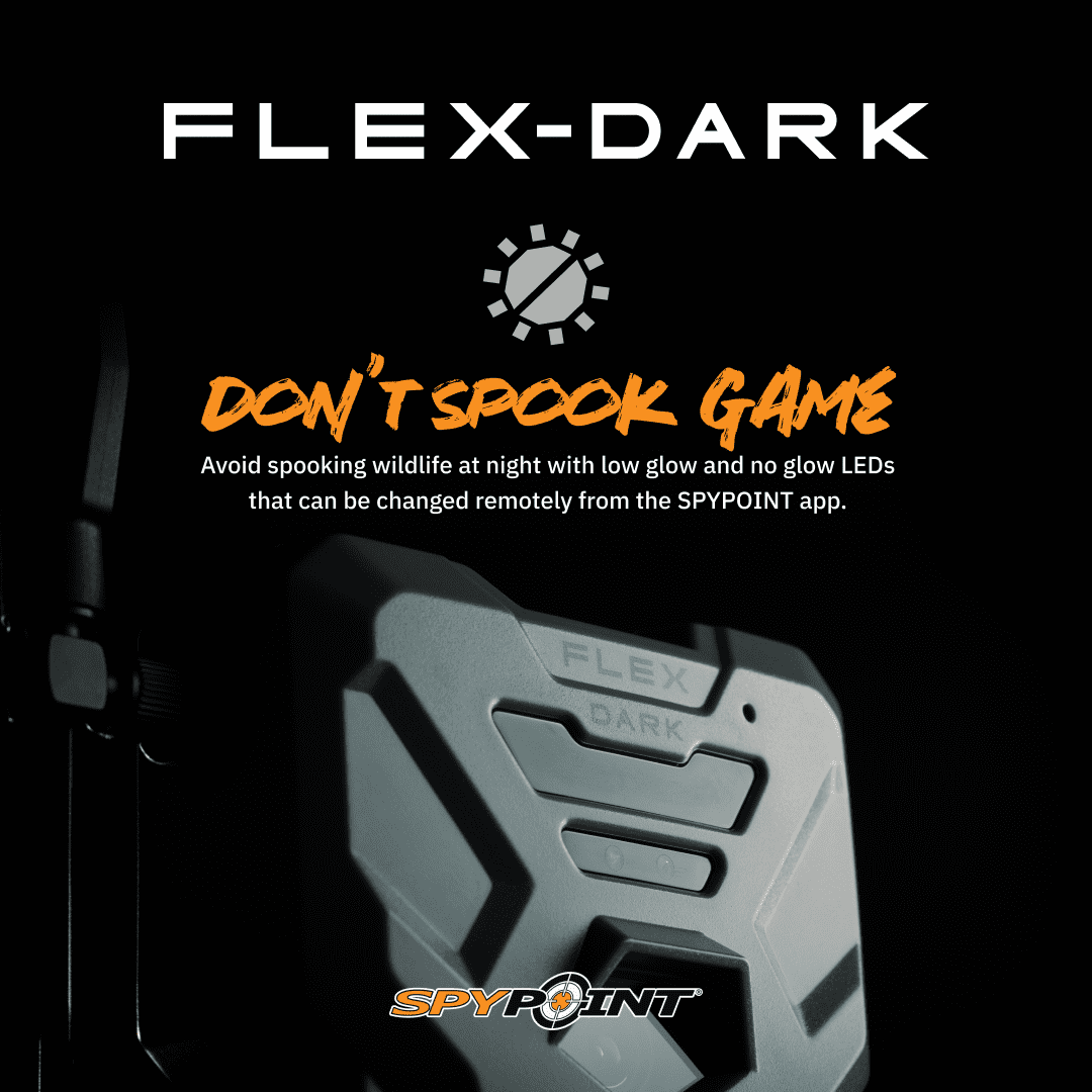 SPYPOINT Flex-Dark Cellular Trail Camera, 40MP Photos and 1080p Videos w/Sound, Double The Battery Capacity, GPS-Enabled, Dual-SIM LTE Connectivity, 100' Flash & Detection Range, 4 Capture Modes