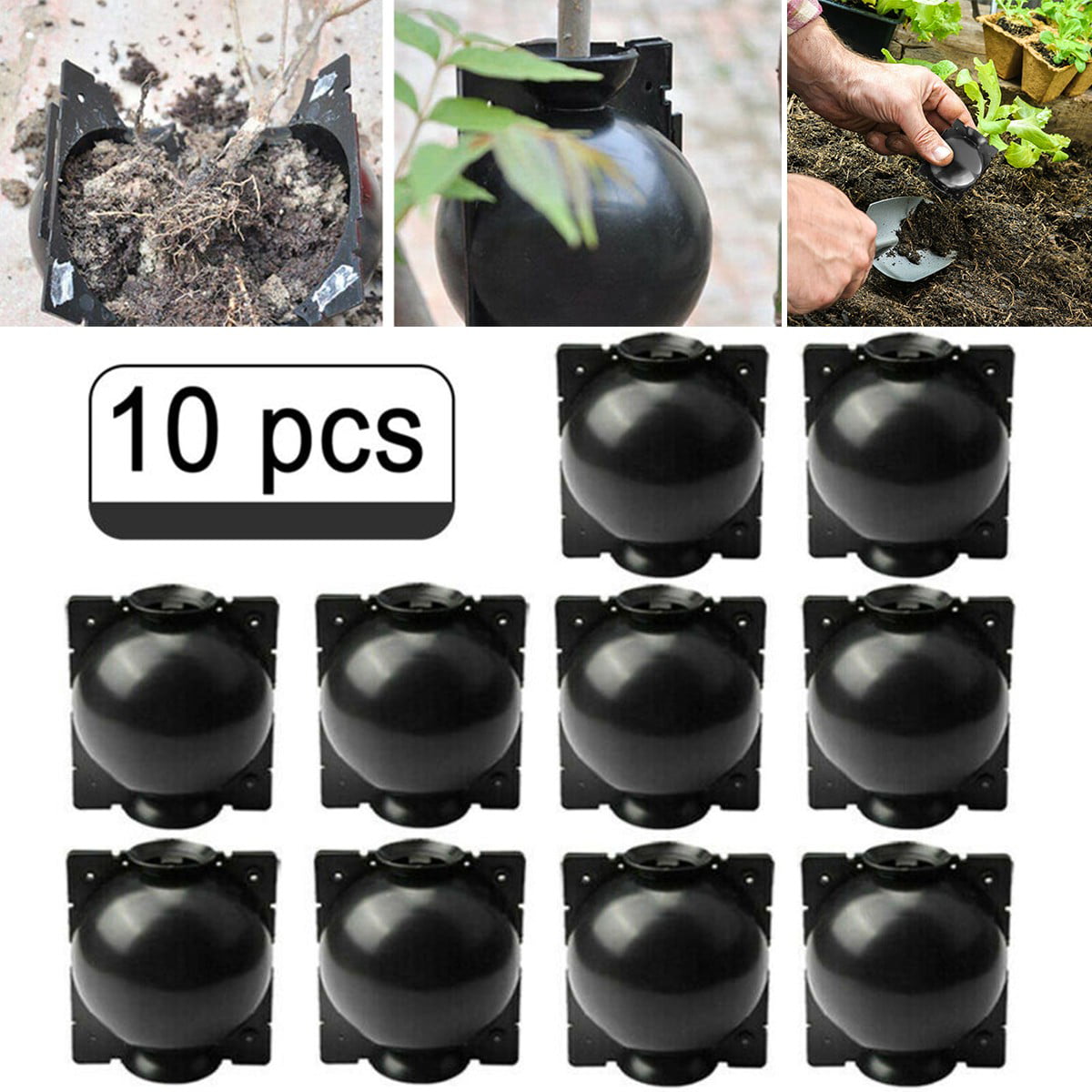 10x Plant Rooting Ball Grafting Rooting Box Breeding Case Plant Root Growing Box 