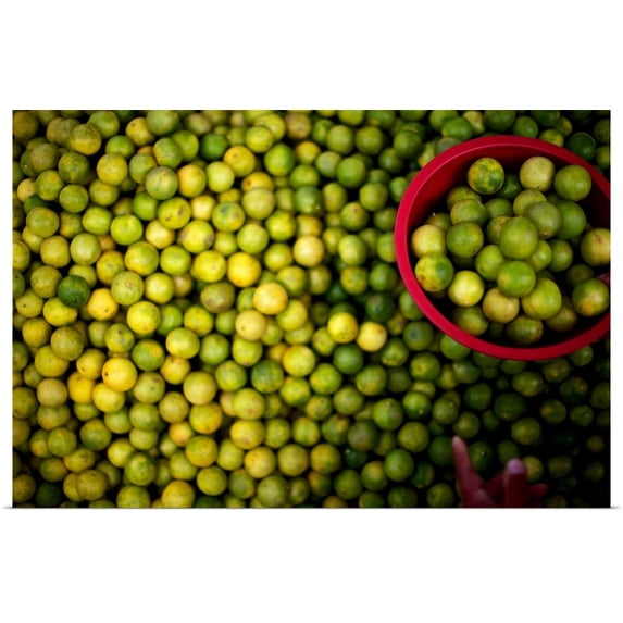 Great BIG Canvas | Rolled The Novogratz Poster Print entitled The Novogratz, Limes, Hadi Sattari