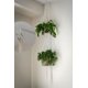 thumbnail image 5 of Solnnerer Paquete de 20 Ganchos de Rosca para Colgar Luces y Plantas, Ganchos para Tazas Q-Hanger Blancos de 2,2 Pulgadas, Ganchos de Techo con Tornillos, Gancho para Ojo, Montaje en Techo de Pared, 5 of 8