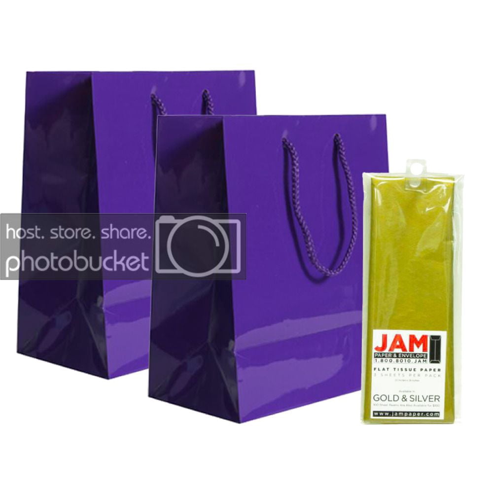 JAM Gift Bag Assortment, 2 Purple Bags & 2 Pack Gold Tissue Paper, 4/Pack
