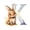 K, variant on Easter Acrylic 26 Letter Pendants Home Decoration Pendant, W