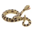 thumbnail image 4 of LEEYNEERRealistic Rattlesnake Jungle Action Figures Set - Party Favors & Supplies, 4 of 5