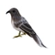 thumbnail image 1 of Adornos de aves artificiales con plumas para árbol de Navidad Pájaro gris, 1 of 6