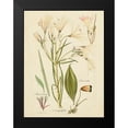 thumbnail image 2 of Vision Studio 12x14 Black Modern Framed Museum Art Print Titled - Antique Botanical Sketch I, 2 of 5