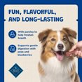 thumbnail image 4 of Blue Buffalo Dental Bones, Regular Size Dog Dental Chews, 4 of 6