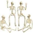 thumbnail image 1 of Decoraciones de esqueleto de Halloween de 36 pulgadas, esqueleto posable de Halloween de 3 pies, huesos de cuerpo humano realistas de plástico con articulaciones móviles para decoración de fiesta de H, 1 of 4