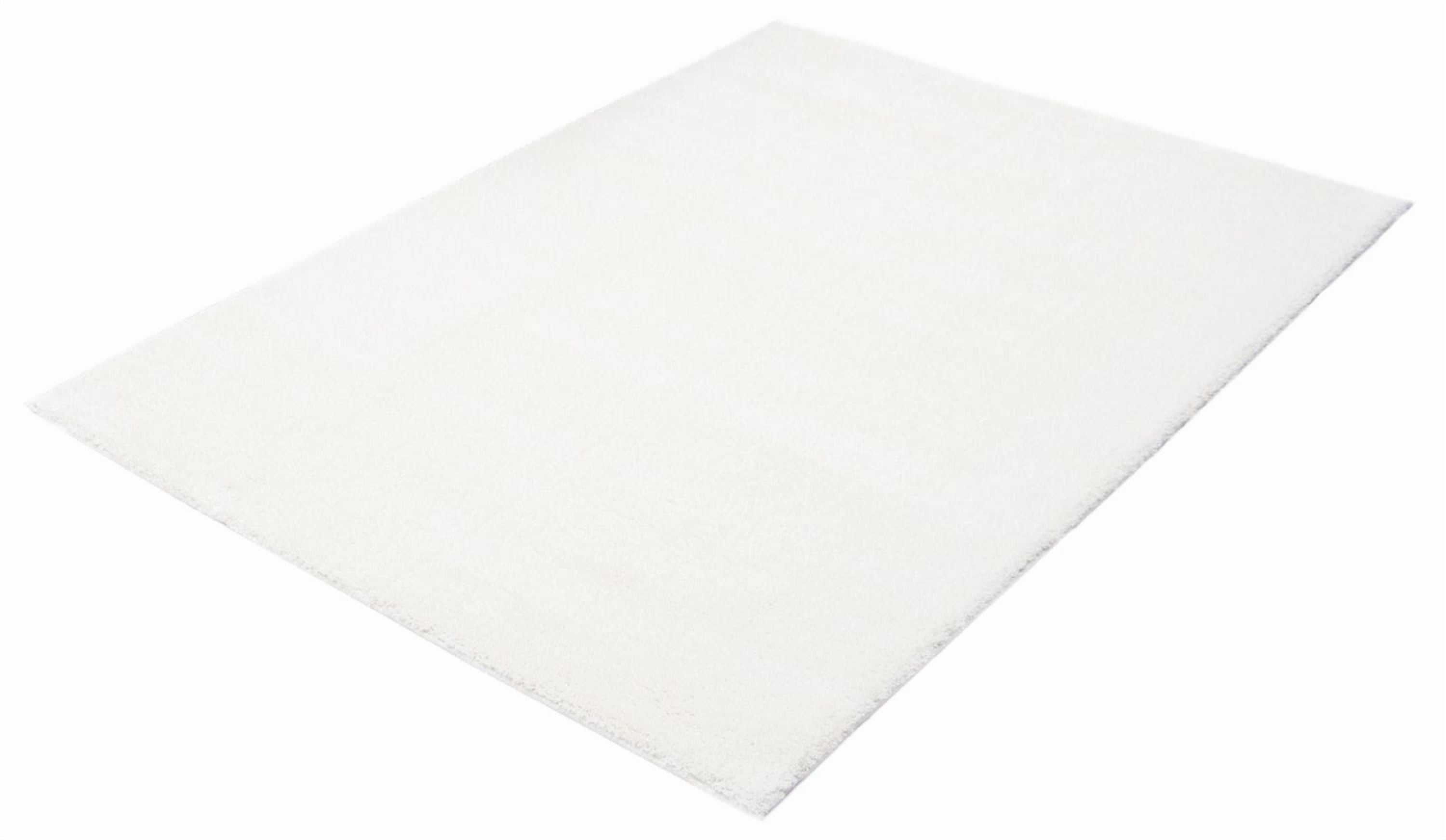 ECARPET Modern Shag Area Rug, Super Soft , Fluffy Carpet for Living Room, Bedroom, Hallway, Entrance, Non Slip Cotton Backing, Blizz Collection