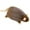 Brown丨35cm, variant on zhonghuaying Rat Stuffed Animal Plush Toy, 3 Colors (Gray/White/Brown) & 3 Sizes (35cm/50cm/90cm), Soft Realistic Plushie Pillow Gift for Boys girls Adults （Grey丨35cm）
